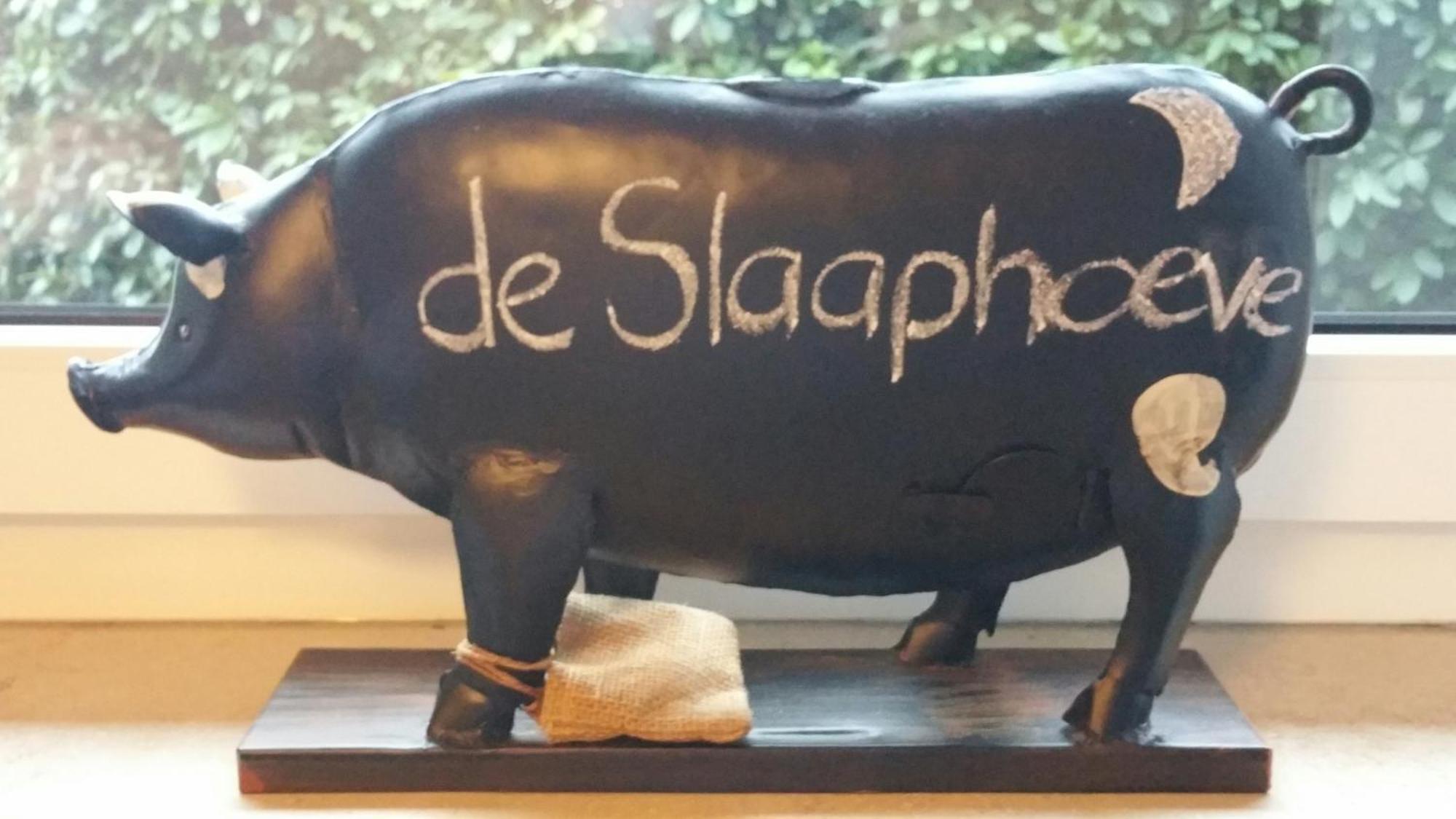 Ferienbauernhof De Slaaphoeve Emlichheim Exterior foto